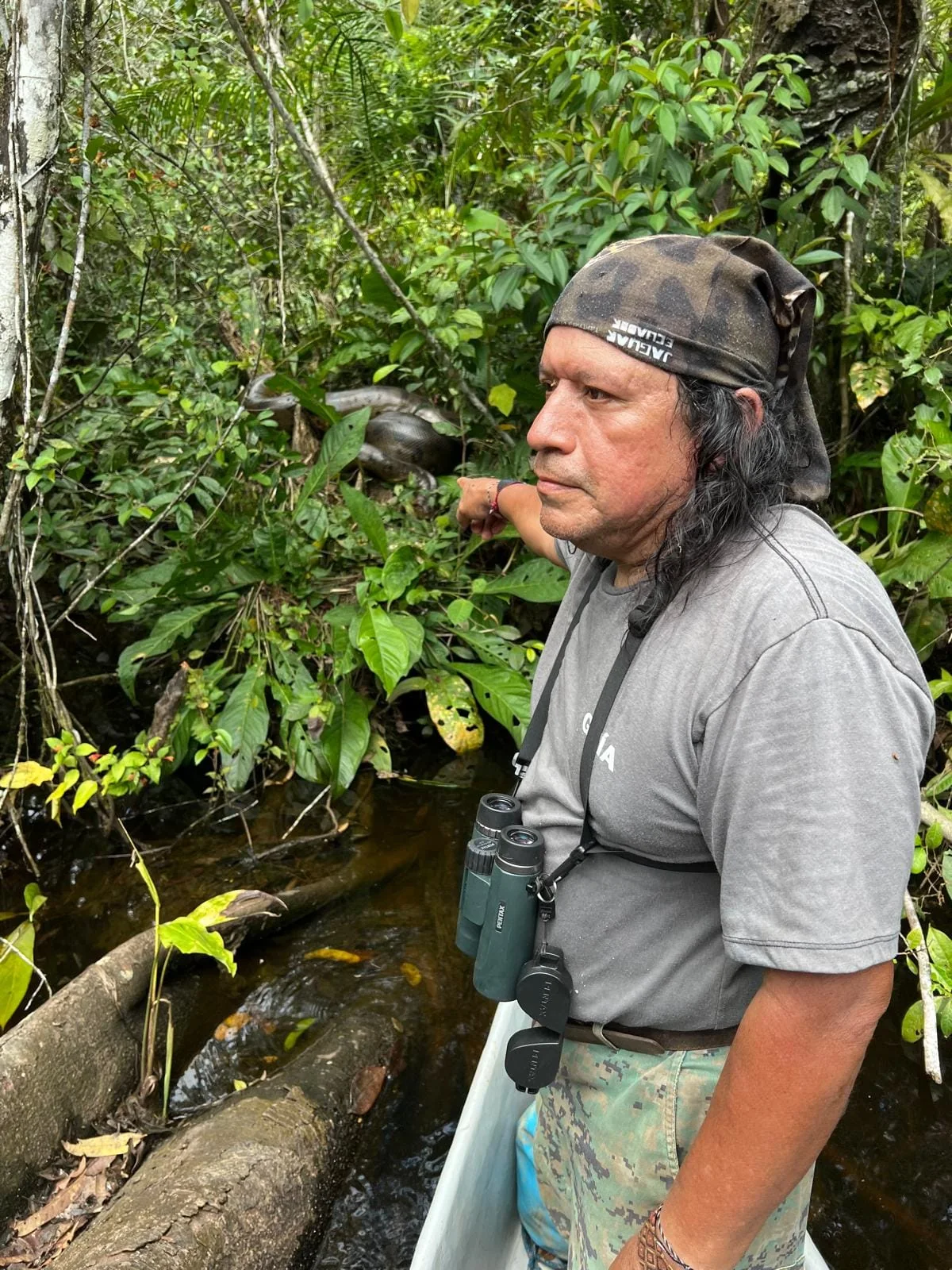 A guide with binoculars standing among rainforest foliage